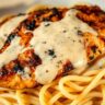 blackened chicken alfredo